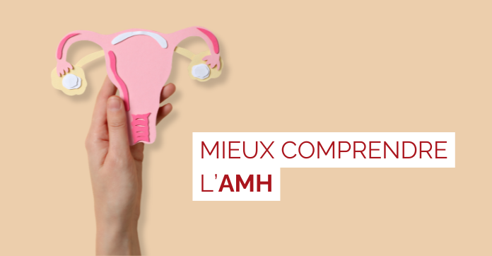 amh, hormone anti-müllérienne