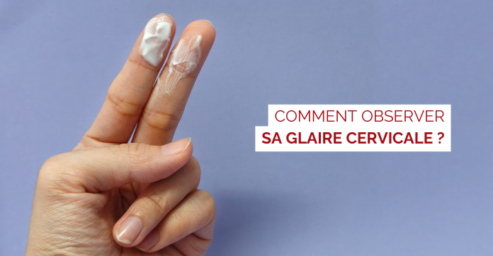 observer sa glaire cervicale